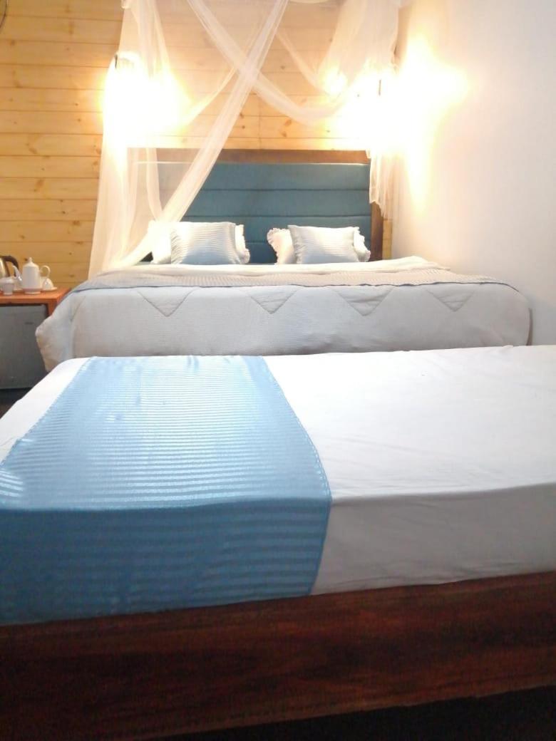 Ella Foret Accommodation Exterior foto